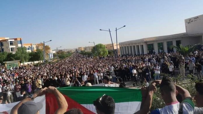 المنظمة الطلابية الجزائرية تنظم مسيرات و وقفات تضامنية مع غزة