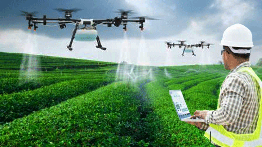 اختتام المسابقة الوطنية للفلاحة Agritech Challenge 2024