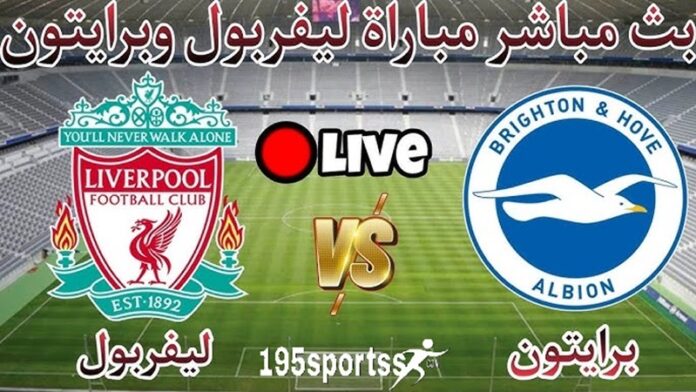 يلا شوت “ليفربول ضد برايتون” مشاهدة مباراة ليفربول وبرايتون اليوم بث مباشر في الدوري الانجليزي