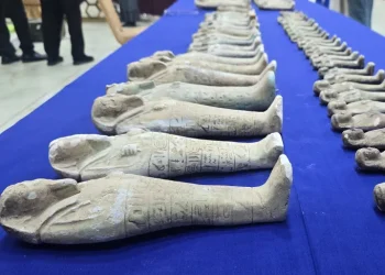 عقدان من تدريس الأمازيغية.. ماذا يحول دون تعميم تدريس لغة الأجداد في المغرب؟